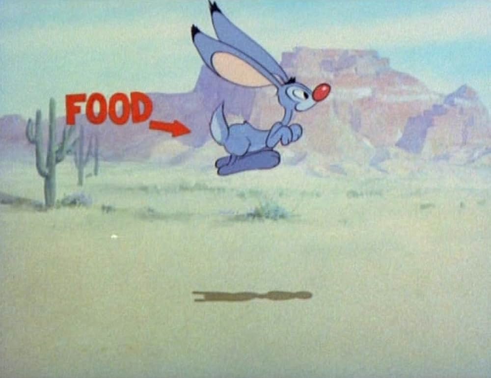 腹ぺこハゲタカの写真