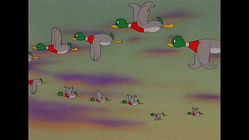 おしゃべり子ガモの画像