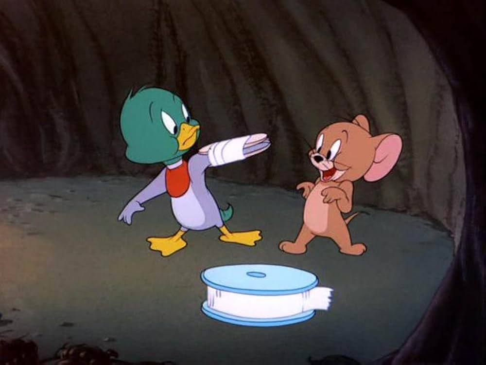 おしゃべり子ガモの写真