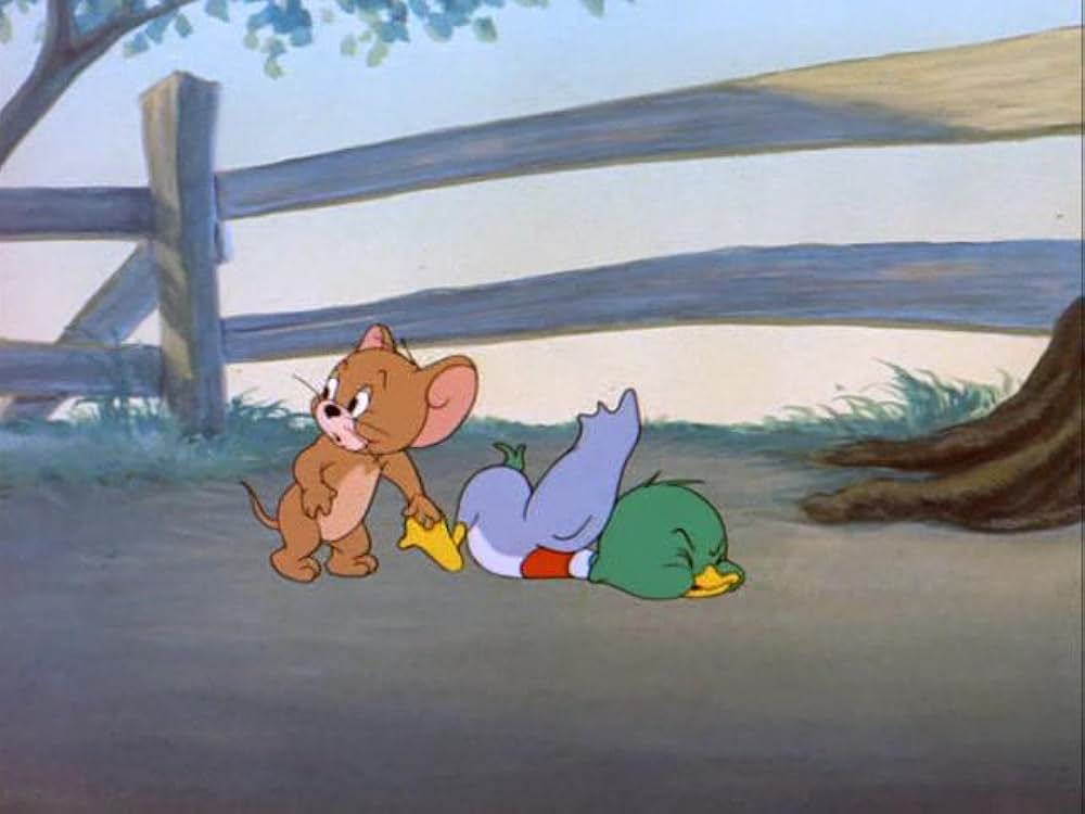 おしゃべり子ガモの画像