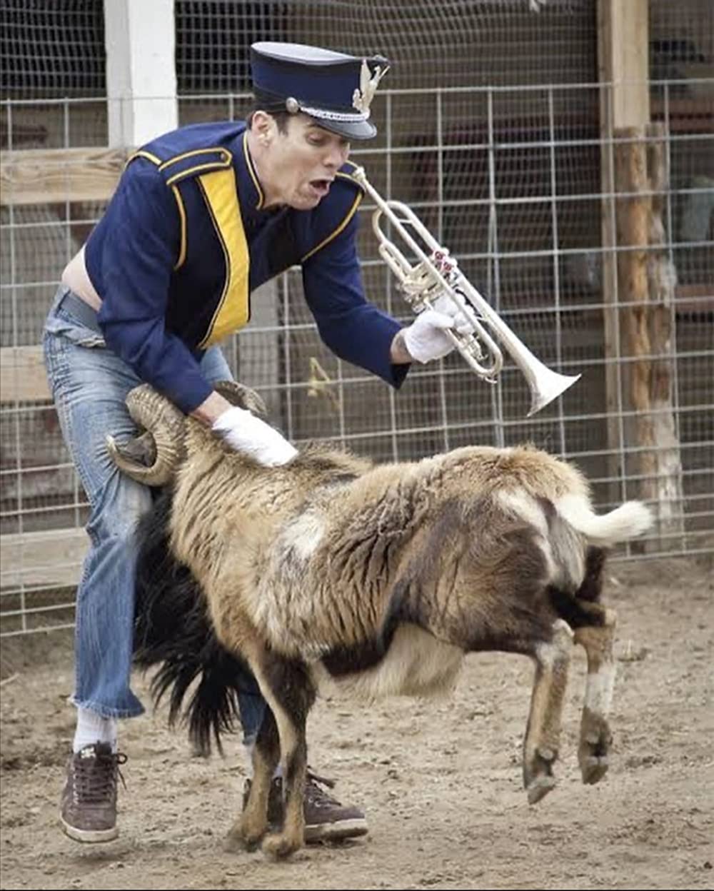 ジャッカス3Dの画像