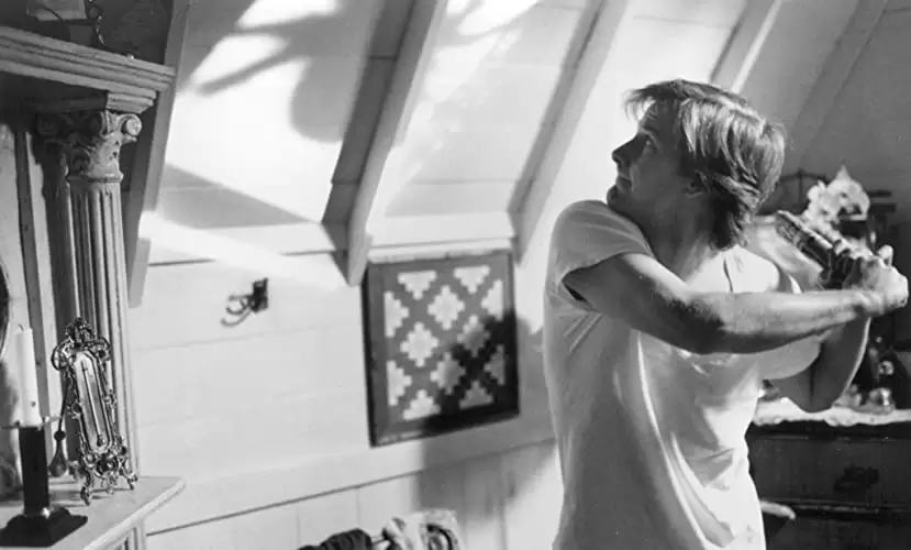 アラクノフォビアの画像