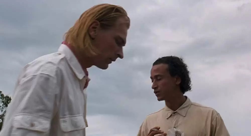 アラクノフォビアの画像