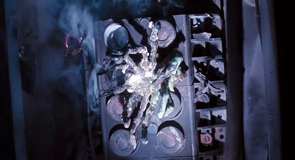 アラクノフォビアの画像