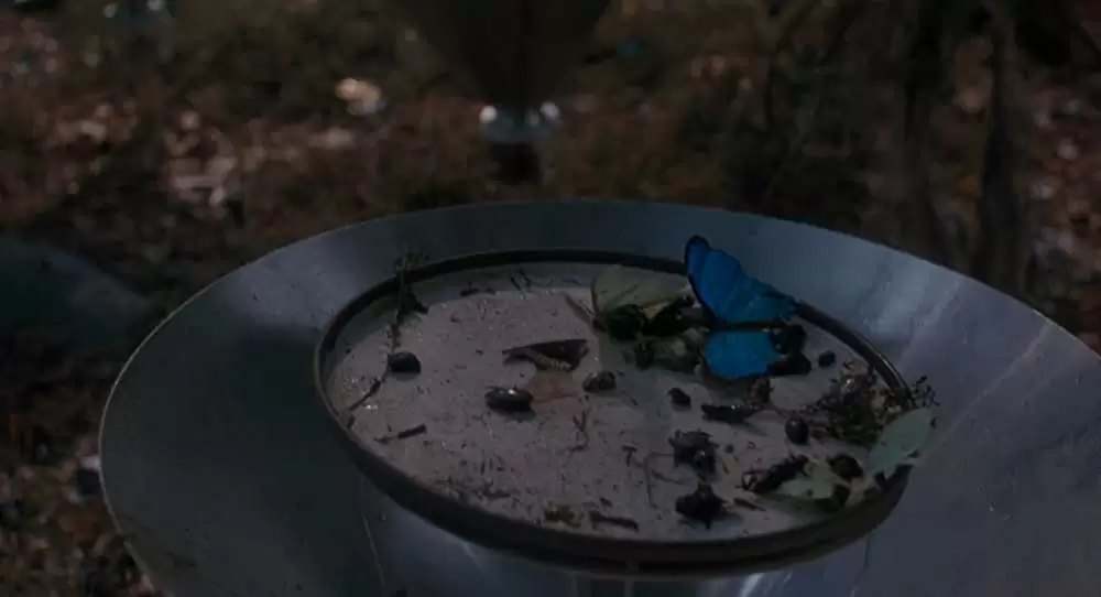 アラクノフォビアの画像