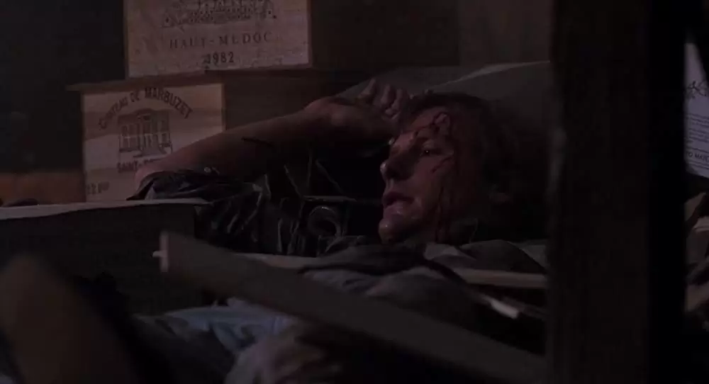 アラクノフォビアの画像