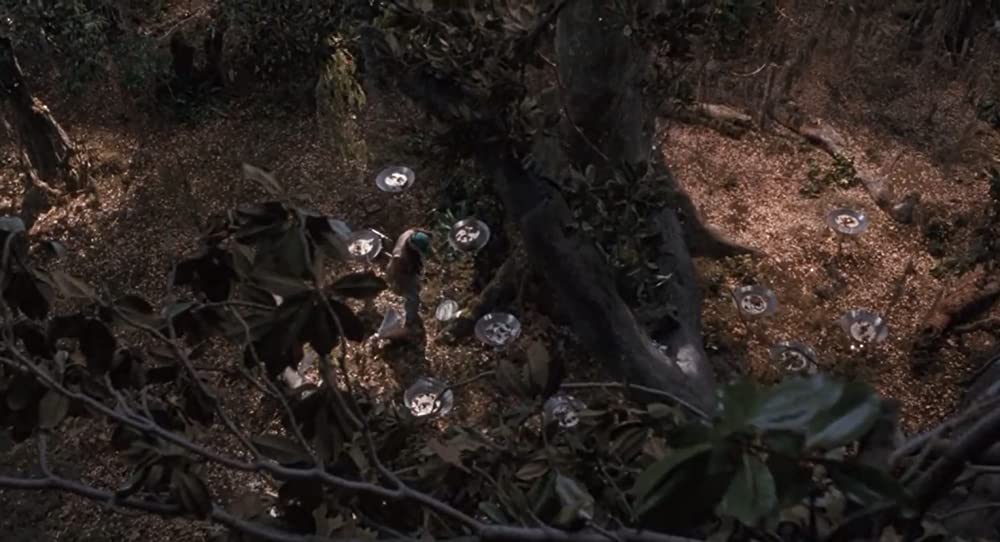 アラクノフォビアの画像