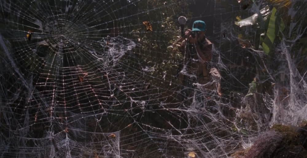 アラクノフォビアの画像