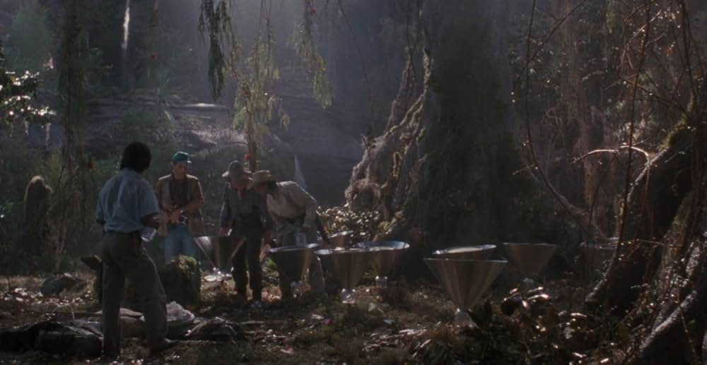 アラクノフォビアの画像