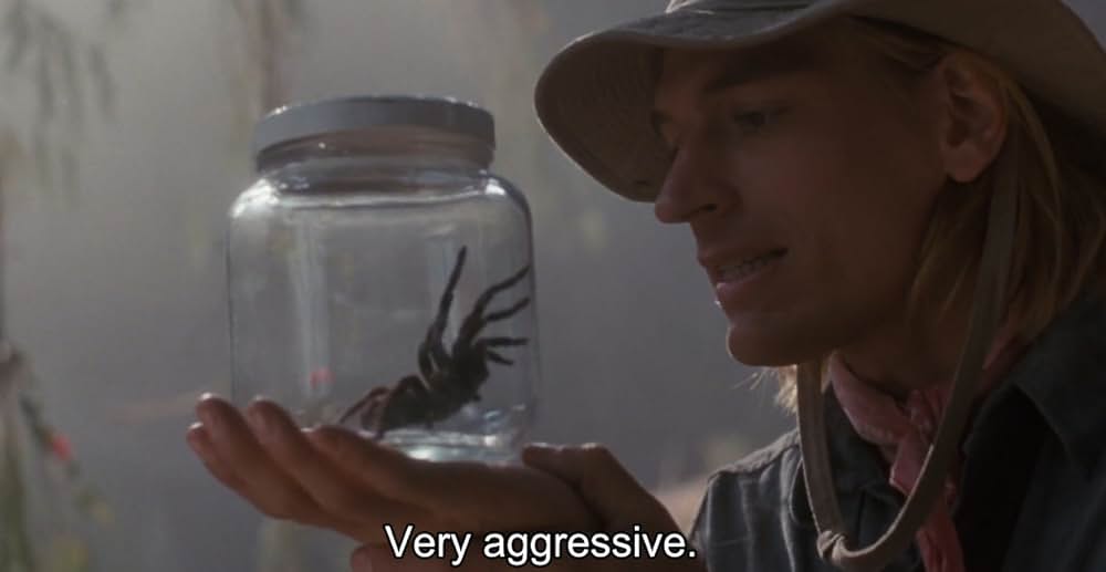 アラクノフォビアの画像