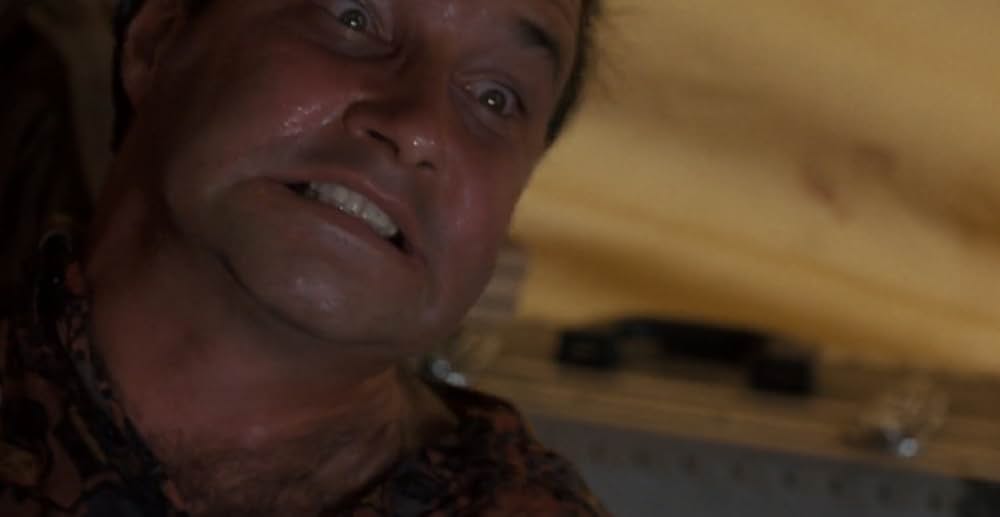 アラクノフォビアの画像