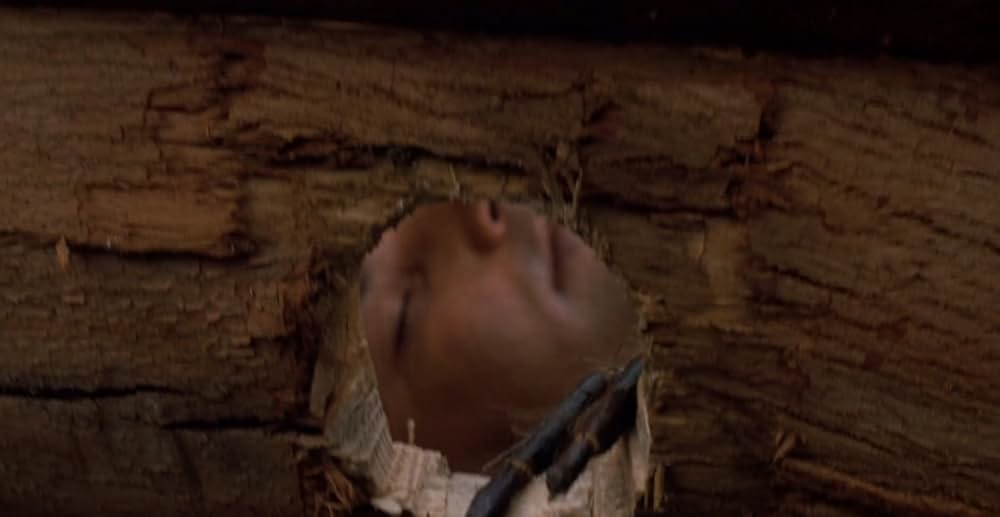 アラクノフォビアの画像