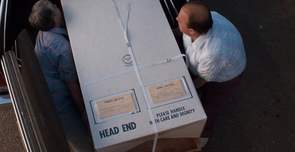 アラクノフォビアの画像