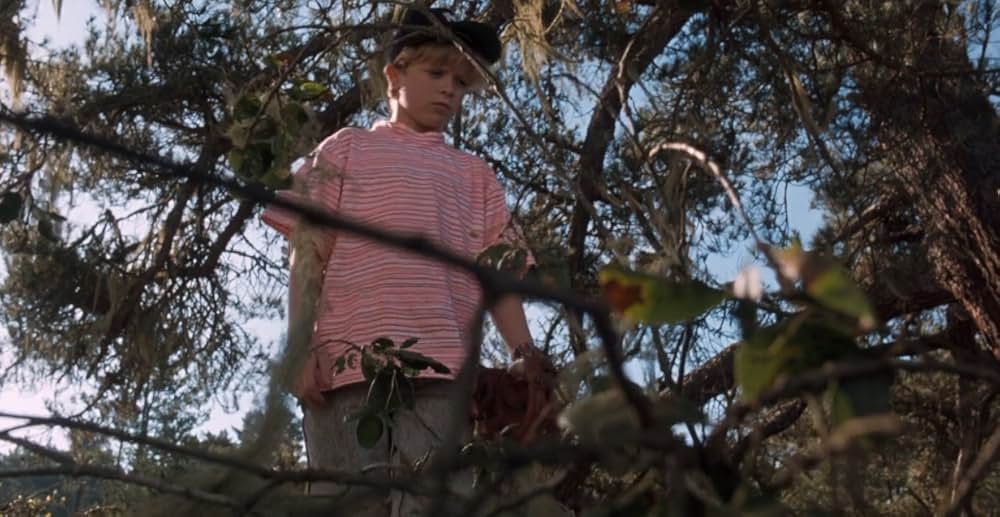 アラクノフォビアの画像