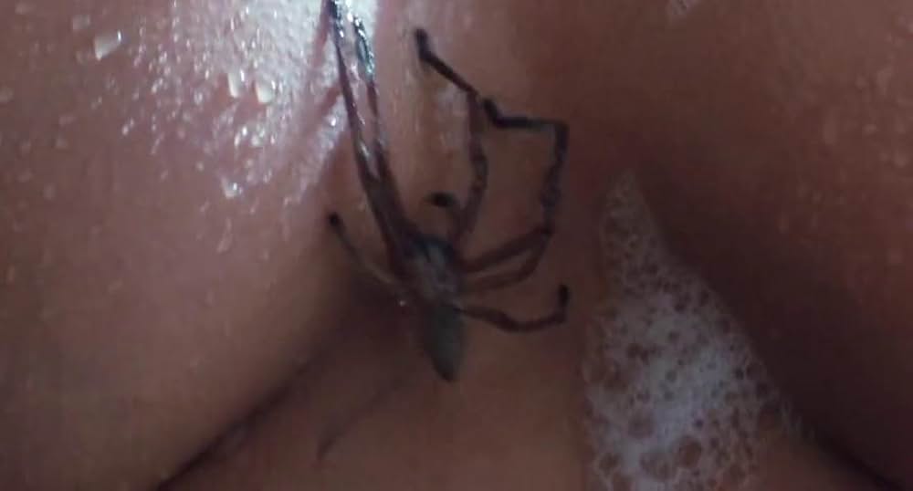 アラクノフォビアの画像