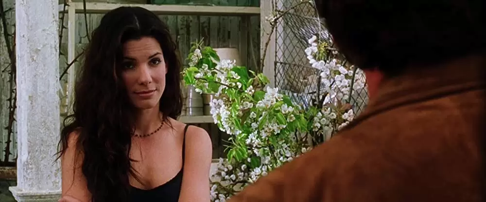 プラクティカル・マジックの画像