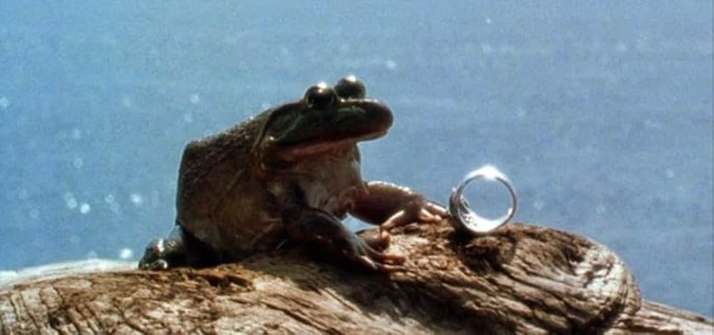 プラクティカル・マジックの画像