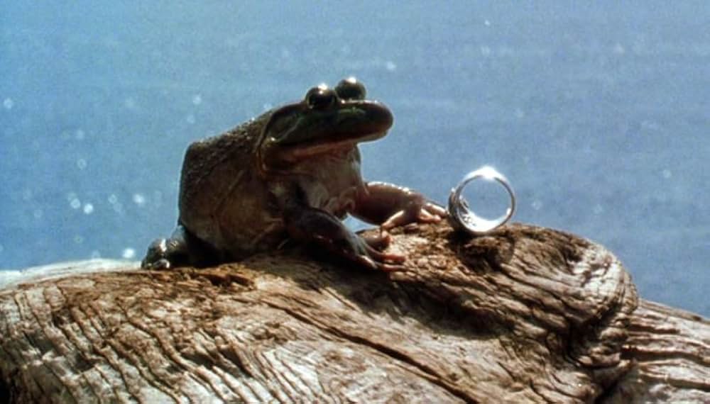 プラクティカル・マジックの画像