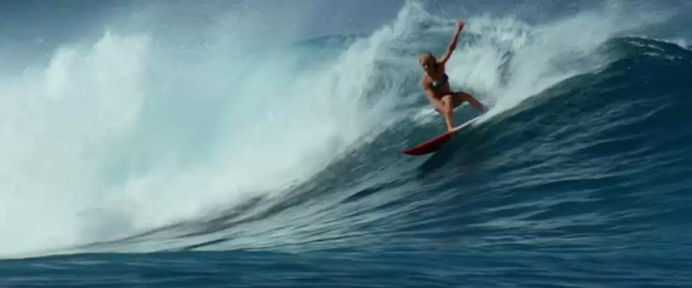 「ソウル・サーファー」アナソフィア・ロブの画像