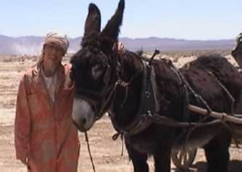 穴／HOLESの画像