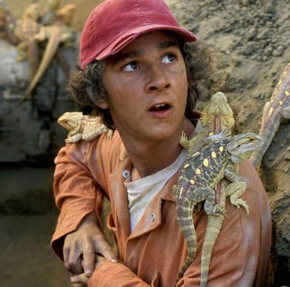 穴／HOLESの画像