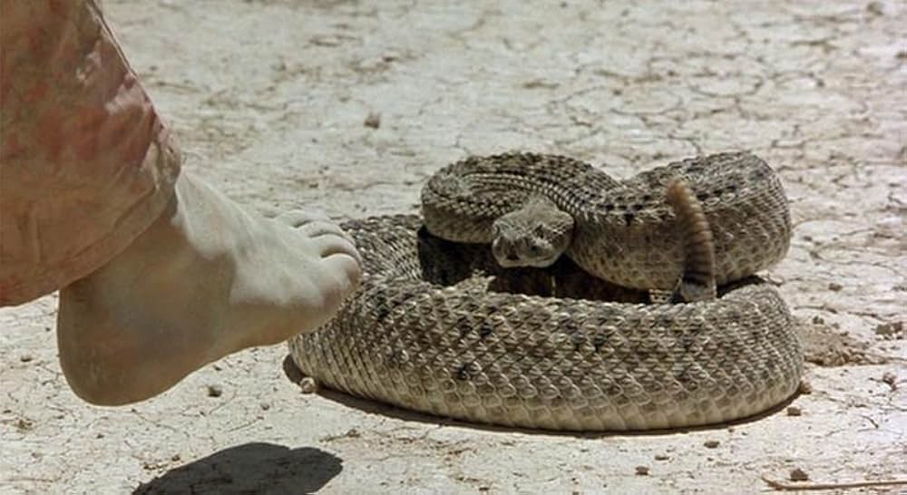 穴／HOLESの画像