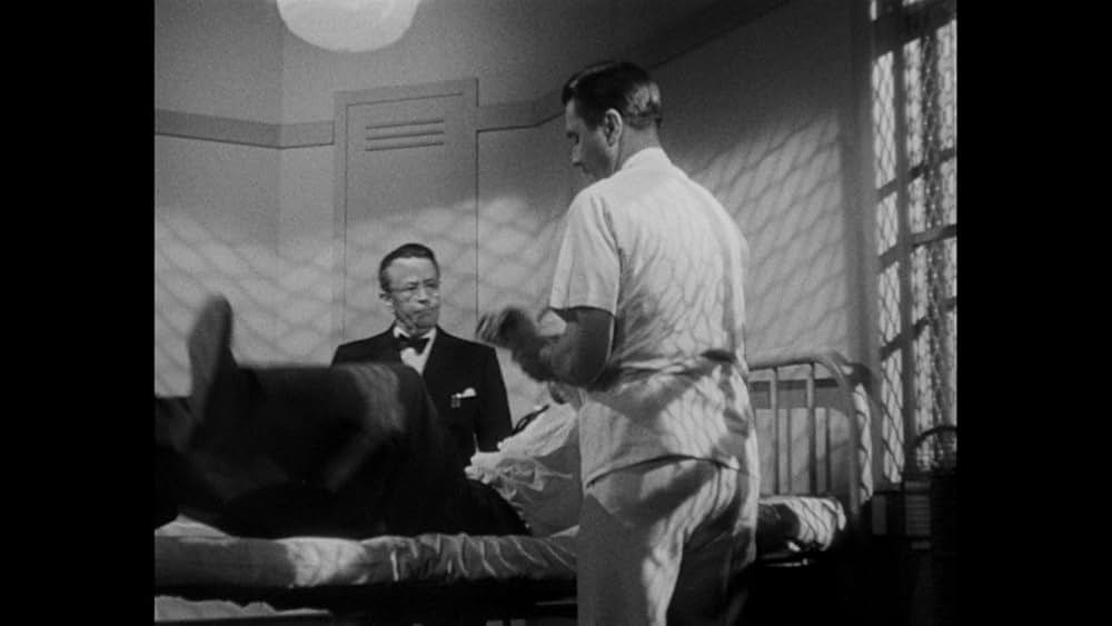 黒い天使の画像