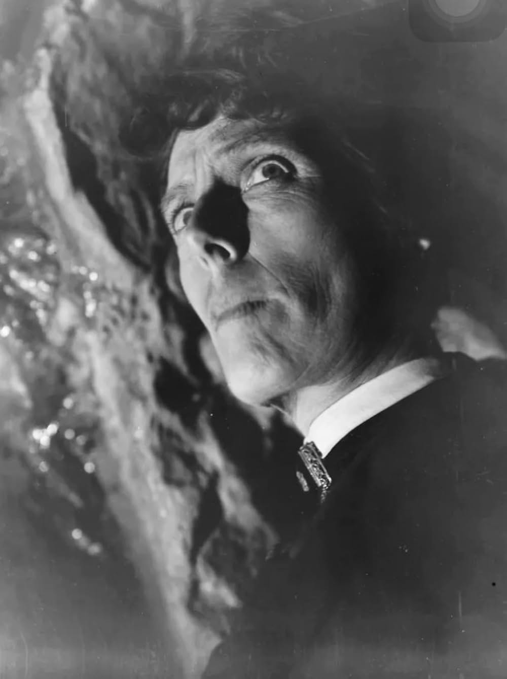 バスカヴィル家の犬の画像