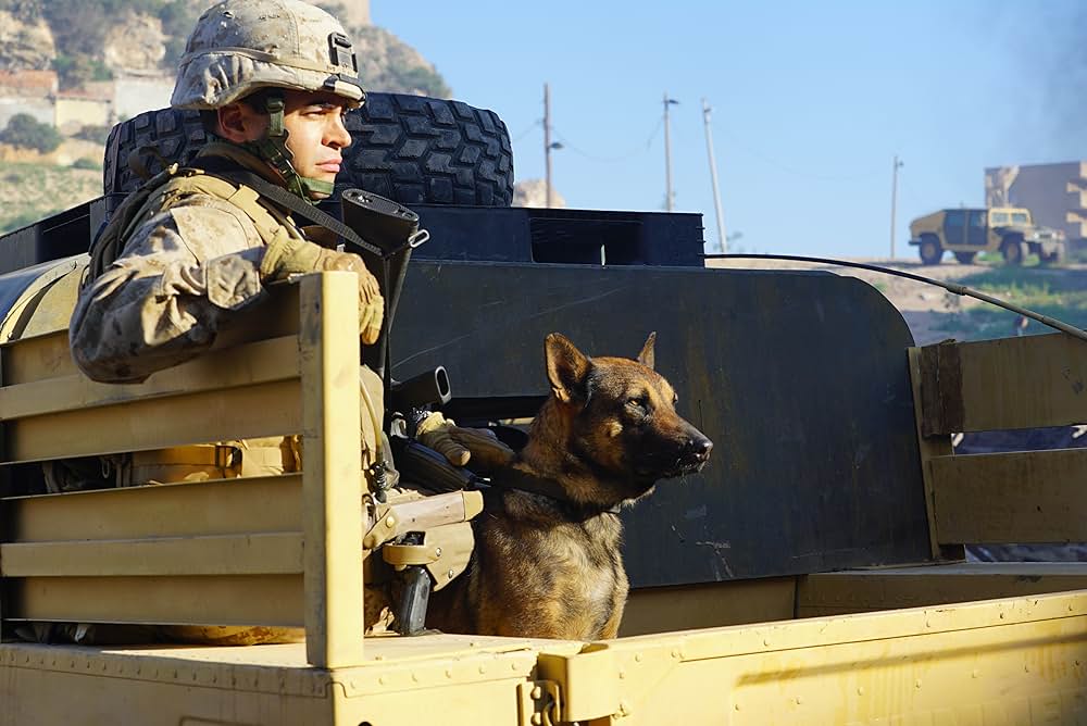 Megan Leavey（原題）の画像