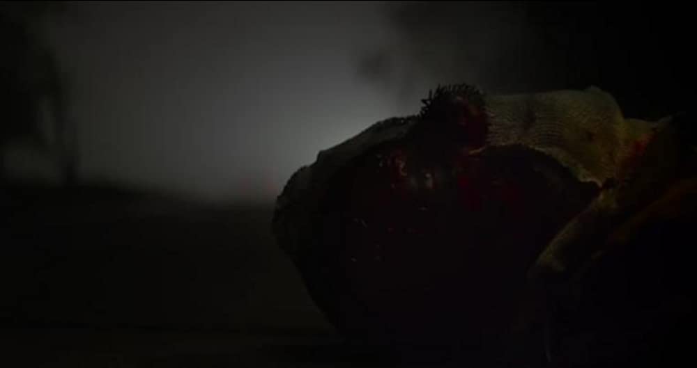 ストレンジャーズ 地獄からの訪問者の画像