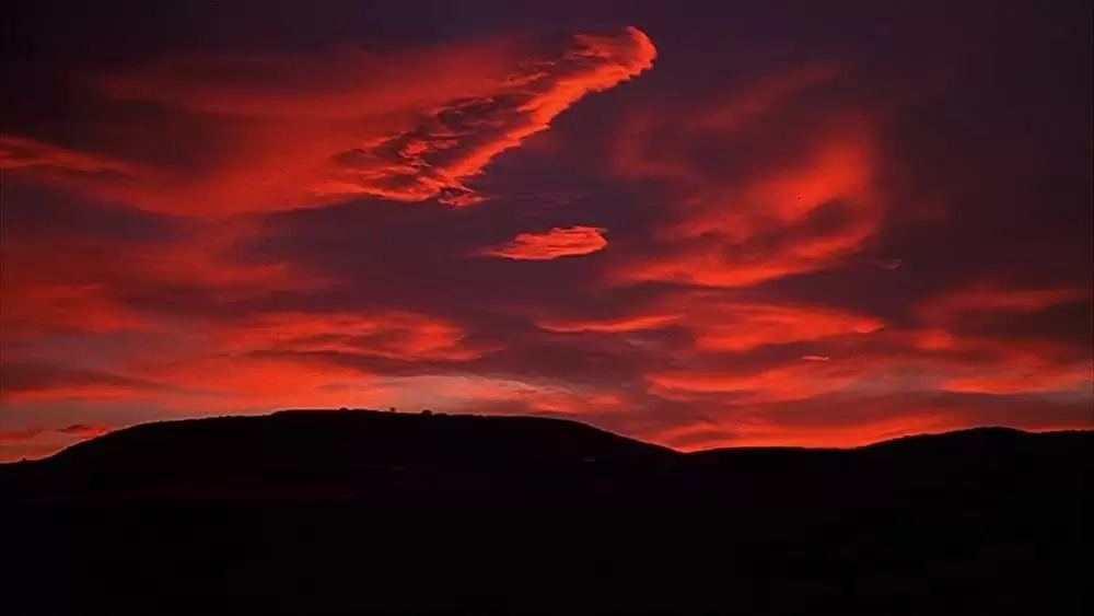 マーダー・ライド・ショーの画像