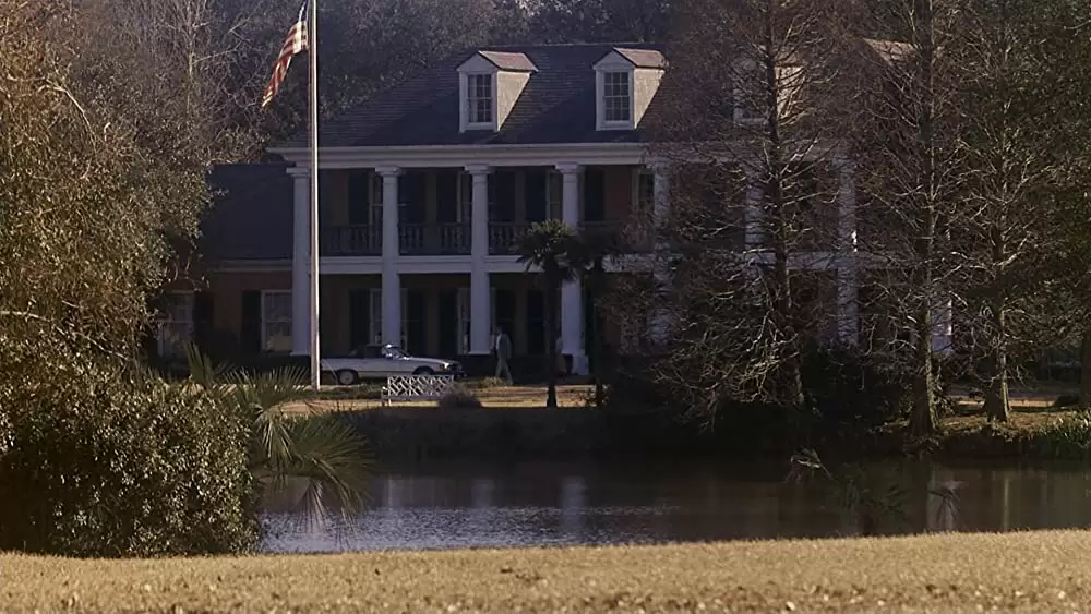 ノー・マーシイ／非情の愛の画像