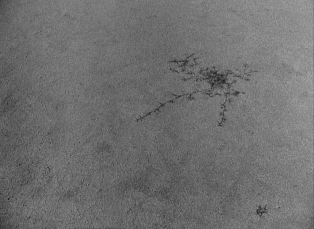 ヒロシマモナムール／二十四時間の情事の画像