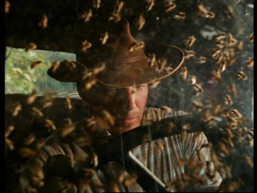 モーニング・グローリー 輝ける朝の画像