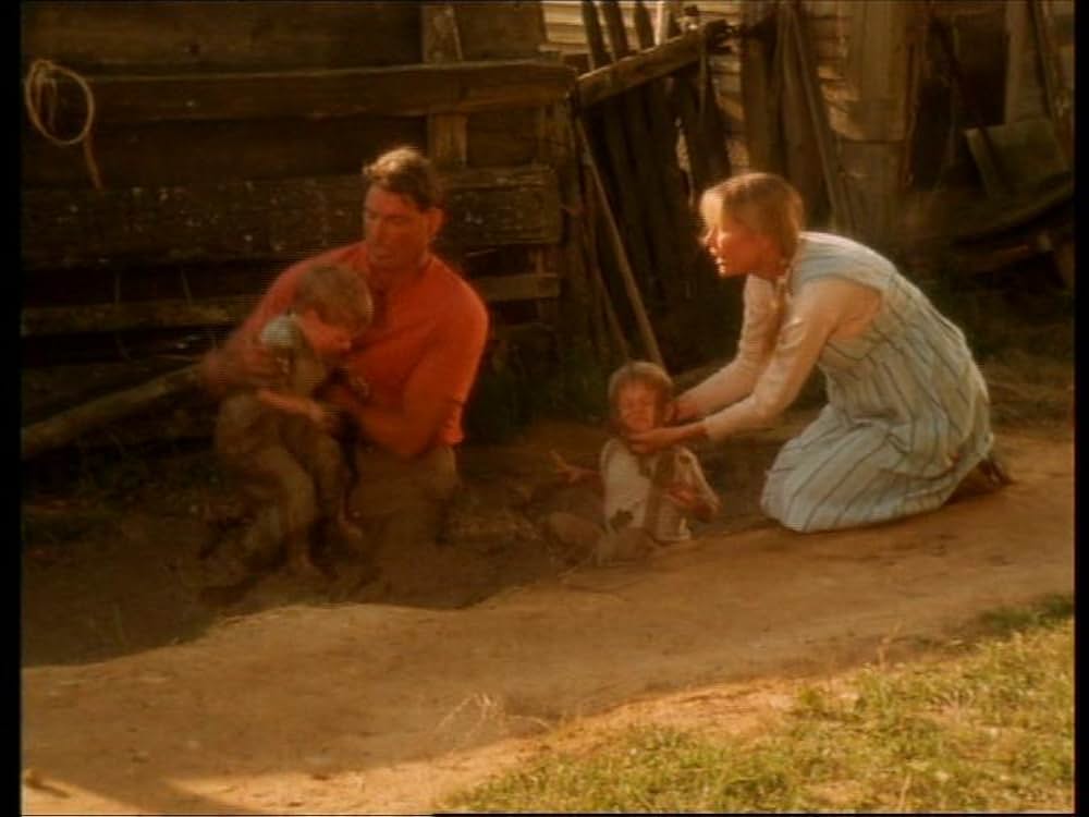 モーニング・グローリー 輝ける朝の画像