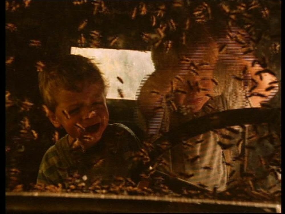 モーニング・グローリー 輝ける朝の画像