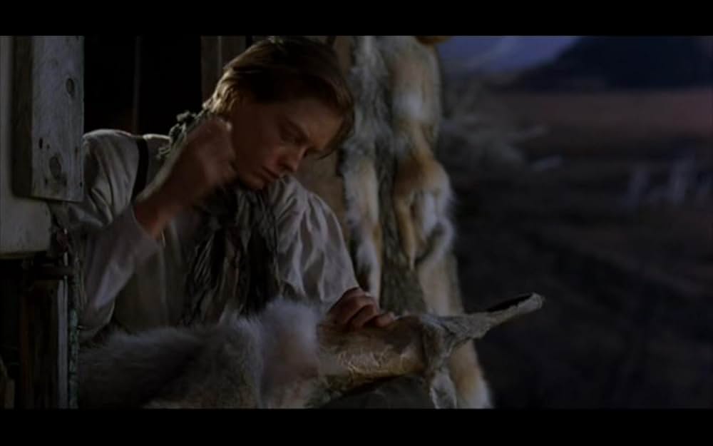 The Ballad of Little Jo（原題）の画像