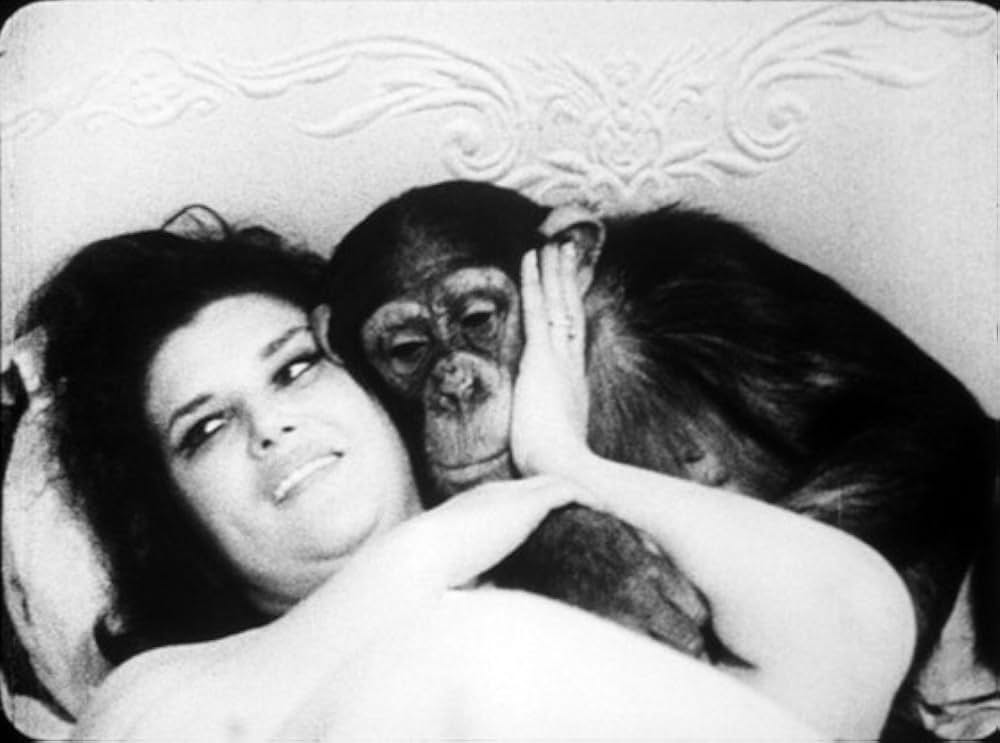 No More Excuses（原題）の画像