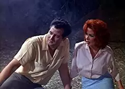 死霊の盆踊りの画像