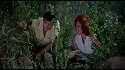 死霊の盆踊りの画像