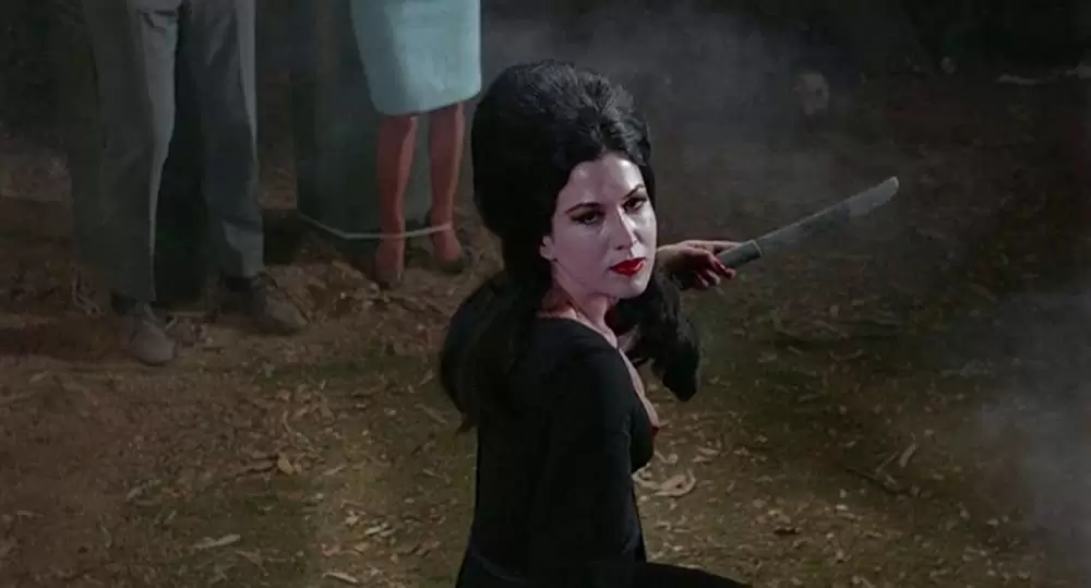 死霊の盆踊りの画像