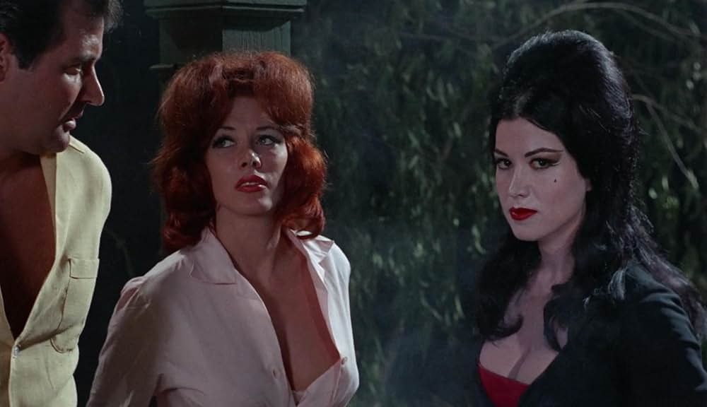 死霊の盆踊りの画像