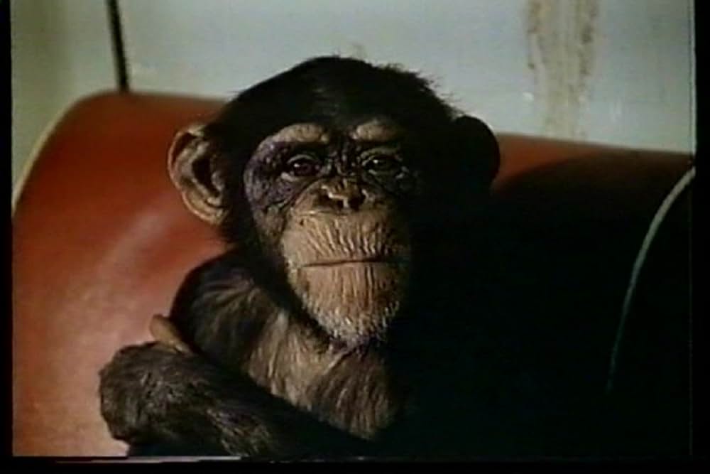 白い恐怖の画像