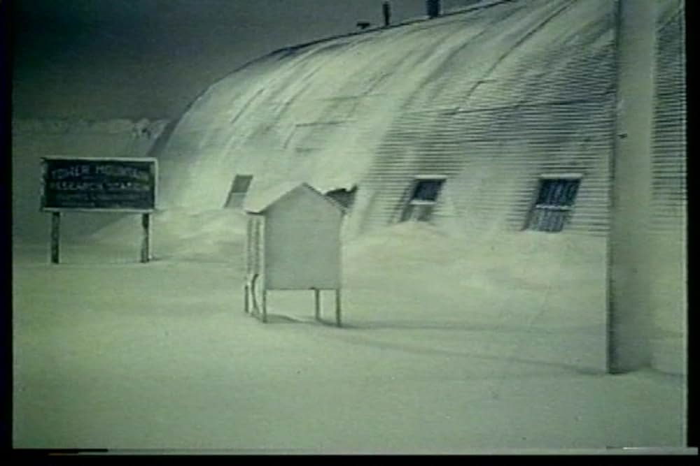 白い恐怖の画像