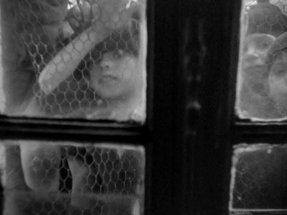 海の黄金の画像