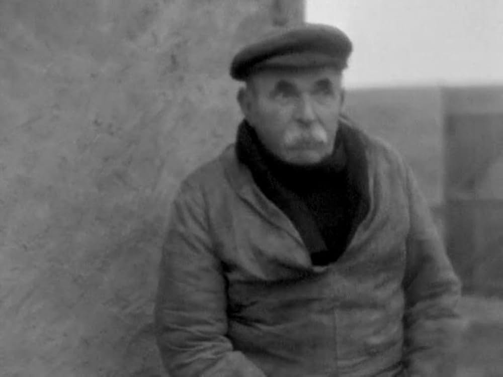 海の黄金の画像