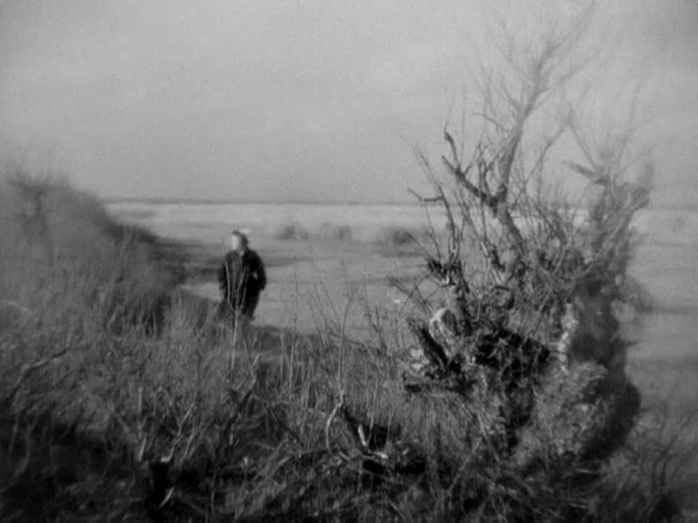 海の黄金の画像