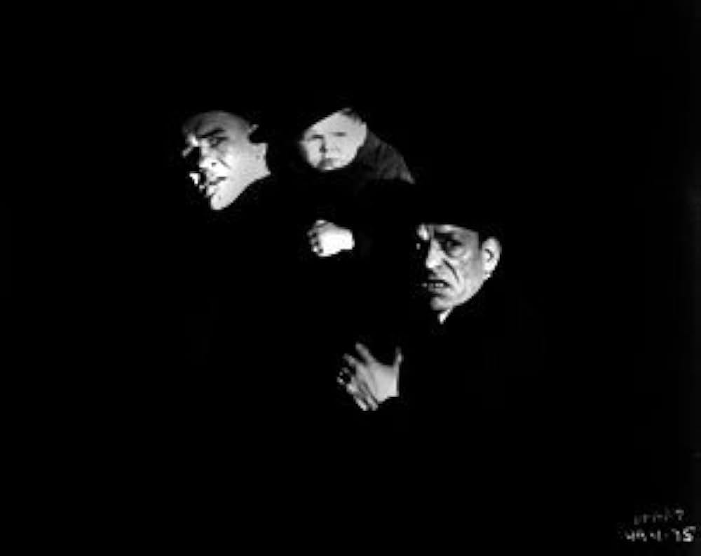 The Unholy Three（原題）の画像