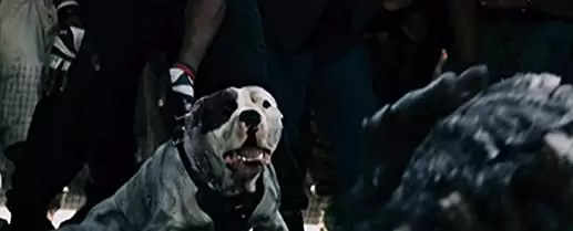 モンスターズ／新種襲来の画像