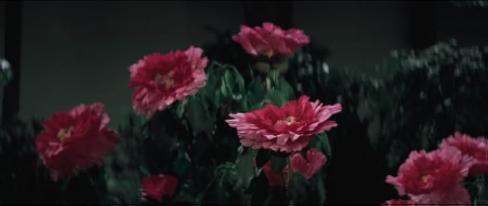 緋牡丹博徒の画像